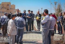 گزارش تصویری |  آیین غرس نهال و تجلیل از پرسنل زحمتکش فضای سبز و باغبانی دانشگاه صنعتی شاهرود 
